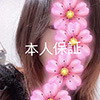 パキラの画像