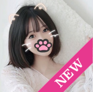 こねこの画像
