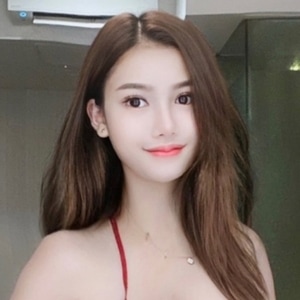 花水木(ハナミツギ)の画像