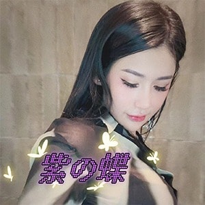 紫の蝶の画像