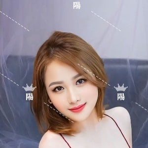 陽の画像