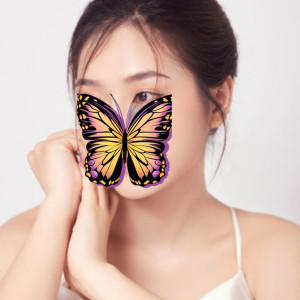 蝶恋花の画像
