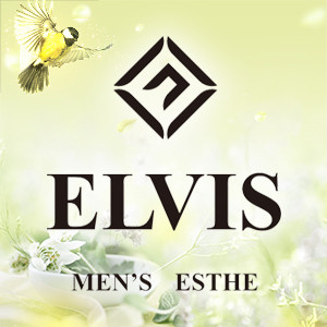 ELVISの画像
