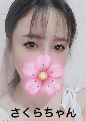 さくらの画像