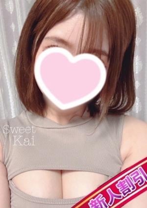 かいの画像