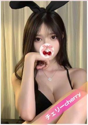 ハナちゃんの画像