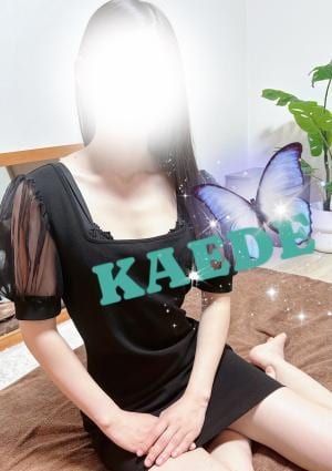 かえでの画像