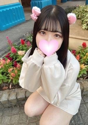 るたの画像