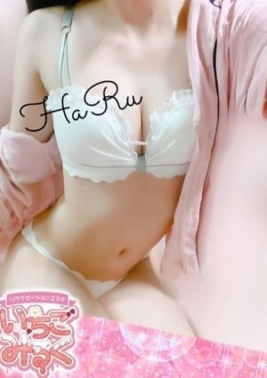 Sクラス候補☆はるの画像