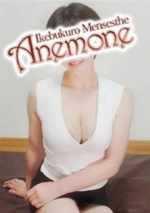 若葉の画像