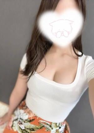 白鳥の画像