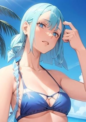 スミレの画像