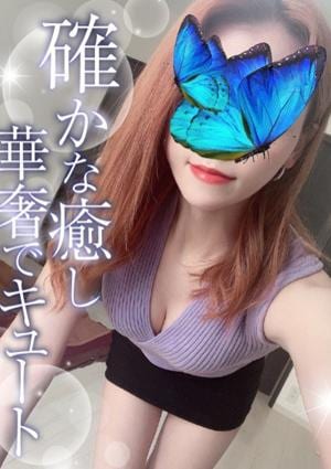 しずかの画像