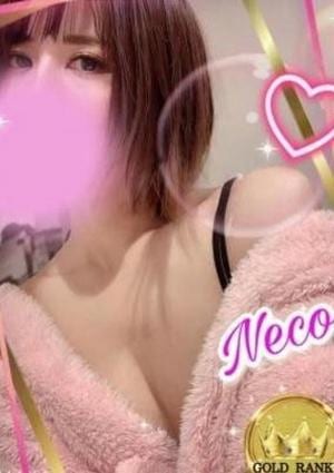 70%のNECOの画像