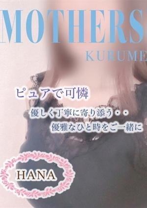 はなの画像