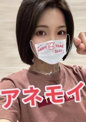 はなの画像