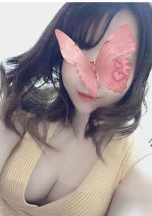 白 うさぎの画像