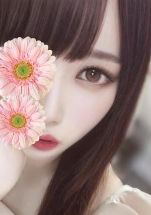きせの画像