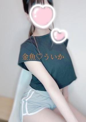 ういかの画像