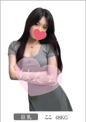 ここの画像