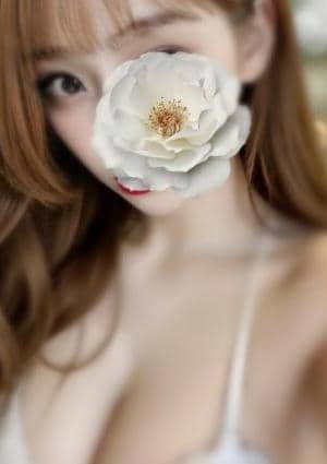 せいらの画像