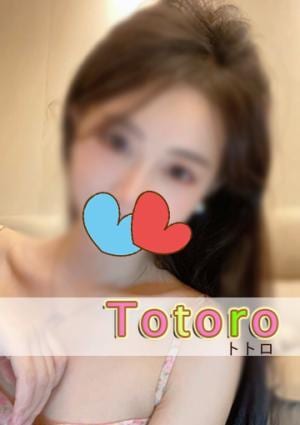 はなちゃんの画像