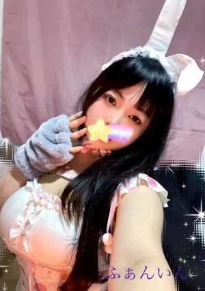 ここちゃんの画像