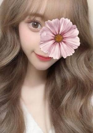 ねねの画像