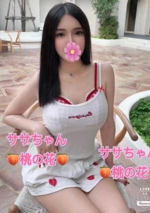 新人:ササちゃんの画像