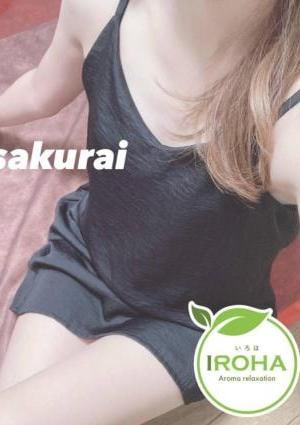 桜井の画像