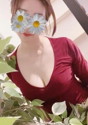 めいの画像