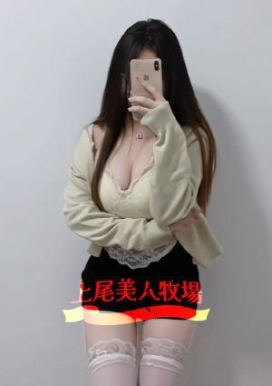 こゆきの画像