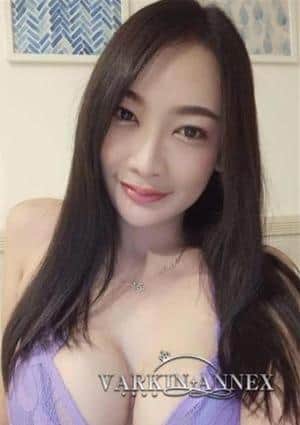 ただの画像