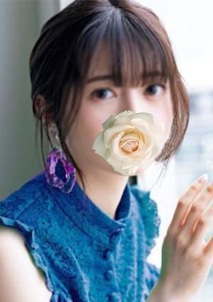 HINAの画像