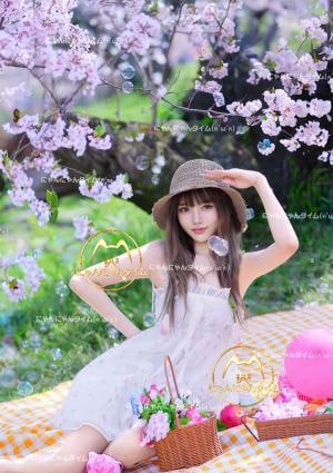 ネコの画像
