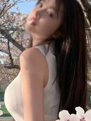 さくらの画像