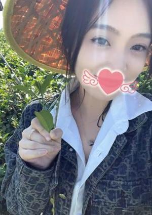 ゆめの画像