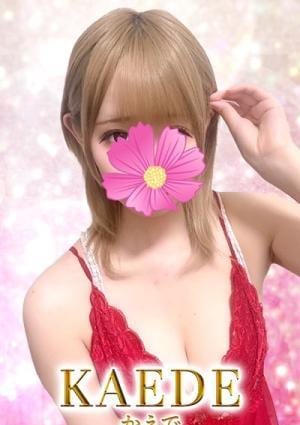 かえでの画像
