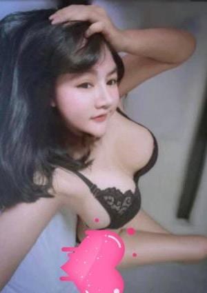BoBoちゃんの画像