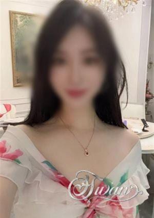トトの画像