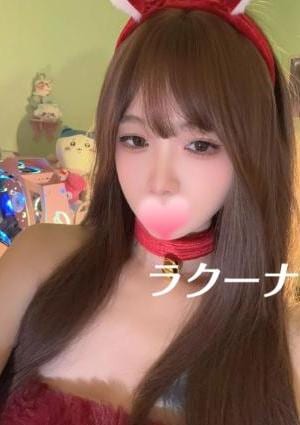 ササの画像