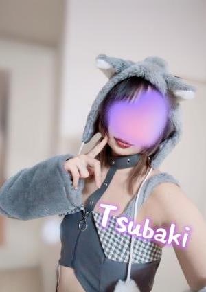 つばきの画像