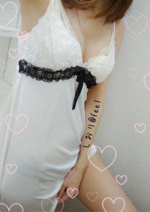 しおりの画像