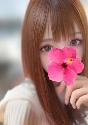 ききの画像
