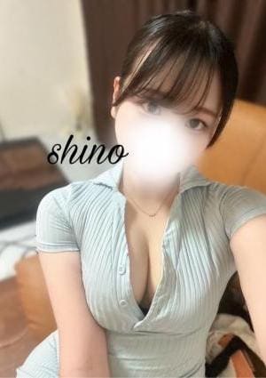 しのの画像