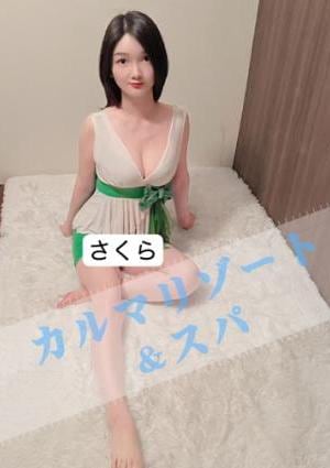 さくらの画像