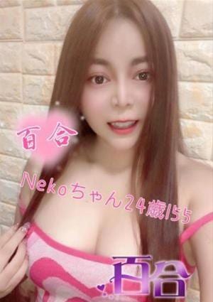 nekoの画像