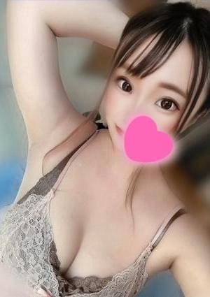 ソイの画像
