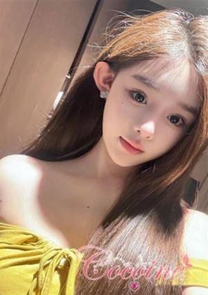 ひなの画像