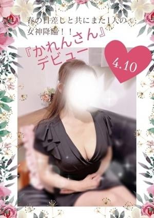 かれんの画像
